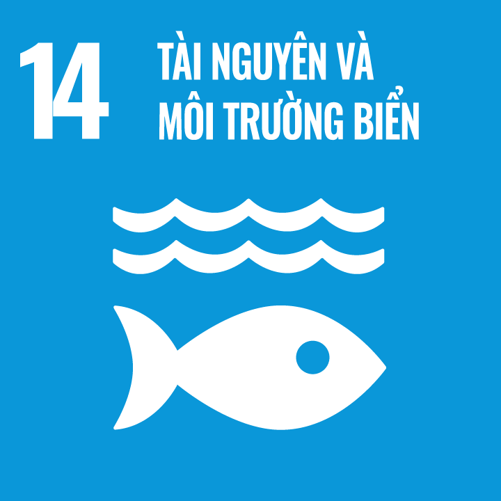14_SDG.png (26 KB)